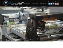 Tablet Screenshot of blueboyimaging.com